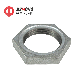 Malleable Iron Pipe Fitting 1/4"-6" Galvanized Back Nuts