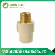  CPVC Fittings ASTM D2846 Brass Threaded Male Adapter