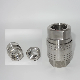  Naiwo No Valve Coupling Straight Quick Coupler Stainless Water Quick Connector