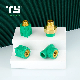  Hyosung R200p Material Quality Female Tee Brass of Green PPR Pipe Fitting