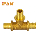  Ifan Pex Brass Fitting Brass Color Reducing Tee