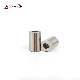 25 Years Factory M2 Material DIN 172 Guide Bushings for Car Mold