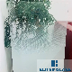  Eliterglass Printed Tempered Glass Gradient China Factory