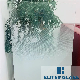 Eliterglass Printed Tempered Glass Gradient China Factory