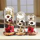 Wholesale Size Customized Bell Jar Clear Glass