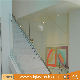  Top Quality 12mm Toughened / Tempered Glass for Balustrade/ Railing