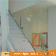 Top Quality 12mm Toughened / Tempered Glass for Balustrade/ Railing