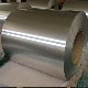  Double Painted High Quality Best Service Colorful Aluminum Coil