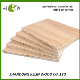  Melamine Faced Plywood Wood Color From Shandong Kelin Wood Co., Ltd