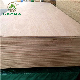 18mm E1 Furniture Board Customed Poplar Birch Pine Dark Oak Plywood Timber Melamine Laminated Plywood