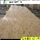  9.5mm-18mm Pine OSB Board/OSB3 for Chile/Canada and USA Market