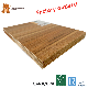  9mm 10mm Wholesale Film Faced Plywood Board Sheet with Fsc&Lloyds Register Certified Factory