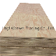 Australia Furniture Grade Non-Structural Pine Plywood