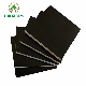 18mm China Green PP Plastic Film Faced Plywood Manufacture Construction Hardwood Plywood