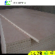  Chinese Suppliers 28mm Hardwood Container Flooring Plywood