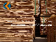  China A Grade Laminated Wood Sheets/ High Densified Wood Board/Plywood Manufacturer