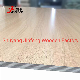  Prelaminated Melamine Faced Plywood Full Piece of Hard Wood Combi Core Poplar Core 11+2 Layers 9+2layers for Kitchen Cabenit Use 4FT*8FT 16mm 18mm