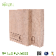  A Grade 12mm 25mm Waterproof Plywood for Boat Building