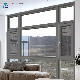 Double-Layer Tempered Tinted Glass Casement Upper-Hung Villa Window