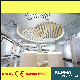 Aluminum Exterior Non-Standard Shaped Decorative Suspended Wide False Ceiling