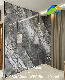  2.9m Length Solid Surface Wall Decoration Panel PVC Marble Sheet UV Coated Board for Interior Background