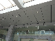  Sixinalu Building Material Wall Panel Decorative Panel Square Construction Aluminum Metal Ceiling