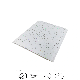 Hot Stamping Star PVC Plastic False Ceiling Board Panel 20cm manufacturer