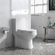 Ortonbath High Efficiency One Piece Elongated Toilet with 0.8 Gpf Water Saving Patented Technology