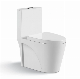 Vietnam Thailand Cambodia Best Sell Wholesale Ceramic One Piece Toilet Commode Sanitary Wc Siphonic Toilets manufacturer
