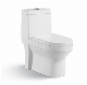 China Wc Manufacturer Floor Mount Siphonic 1 Piece Ceramic Toilets Southeast Asia Favorite Sanitary Ware Toilet manufacturer