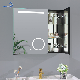 Aquacubic Wall Mounted 33*25 Inch Magnifying Mirror Waterproof Makeup Mirror LED Silver Mirror Cabinet Bathroom