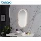  SAA Approval Australia Standard Wall Mounted Oval Bathroom LED Mirror