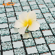  Self-Adhesive Luxury Glass Mosaic Tile for Home Decoration