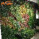  Colorful Plants Wall Decoration Artificial Grass Flor Artificial Hanging Plants Green Wall