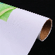  280GSM Wide Format Matte Polyester Canvas Inkjet Roll for Canon Pigment Printer