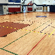 Synthetic Vinyl Sport Flooring for Leisure Venues From Chinese Supplier manufacturer