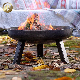 Outdoor Camping Wood Burning Metal Barbecue Heating Fire Pit