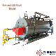 Natural Gas /Lpg /Oil Fuel Fired Hot Water Boiler