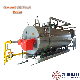  Natural Gas /Lpg /Oil Fuel Fired Hot Water Boiler