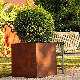  Square Corten Steel Rusty Metal Garden Decoration Tree Planter