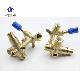 Heating Waterway Assembly Supply Valve manufacturer