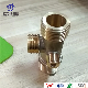  Heating Furnace Water Pipe Outlet Lugged Brass Fitting