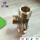 Heating Furnace Water Pipe Outlet Lugged Brass Fitting