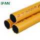 Ifan Plastic Plumbing Water Tube Pex Aluminium Pex Tube for Gas Pipe