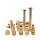 Brass Hose Fittings with NPT Thread