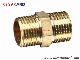  Brass Nipple for Plumbing/Brass Thread Fitting for Pipe