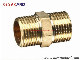Brass Nipple for Plumbing/Brass Thread Fitting for Pipe