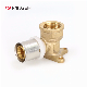 Mingshi Plumbing Materials Floor Heat Water Supply Pexalpex Pipe Fitting with Watermark/Acs/Aenor Wall Plated Male Elbow Press Brass Fittings