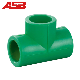 Professional Manufacturer Hot Sale All The Size of PPR Pipe Fitting Elbow Tee Socket with From China Directly Factory manufacturer