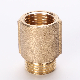  Extension Water Pipe Fittings Male Female with or Without Chrome Plating